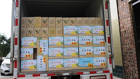 助銷黃桃社會扶貧，關(guān)愛員工送高溫福利